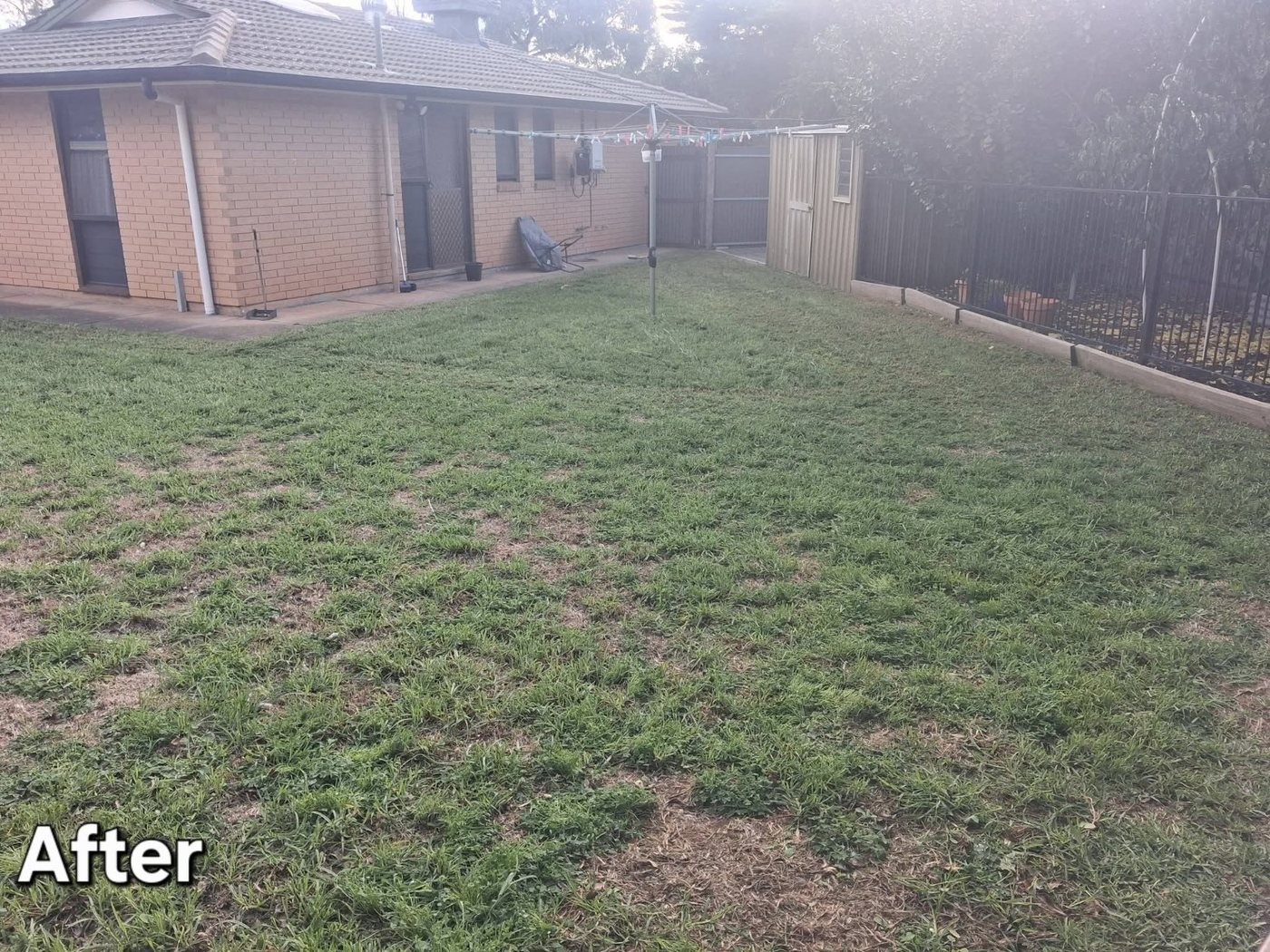 Mr Green & Ms Clean real completed work photo 12